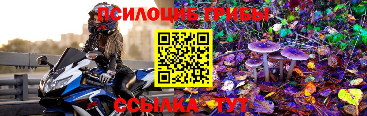 Краснокаменск  Псилоцибиновые грибы GOLDEN TEACHER  Вход с VPN  Галлюциногенные грибы мухоморы 